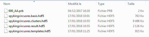 ../../_images/spykingcircus_files.png